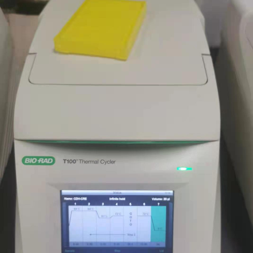 10号PCR